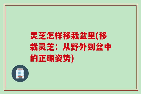 灵芝怎样移栽盆里(移栽灵芝：从野外到盆中的正确姿势)