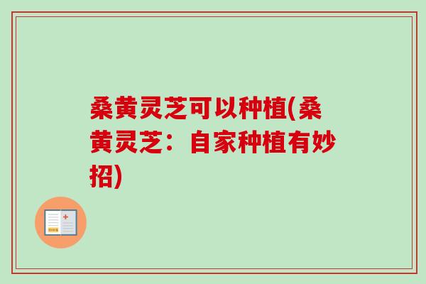 桑黄灵芝可以种植(桑黄灵芝：自家种植有妙招)