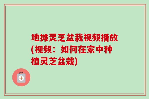 地摊灵芝盆栽视频播放(视频:如何在家中种植灵芝盆栽) 地摊灵芝盆栽视频播放(视频:如何在家中种植灵芝盆栽)