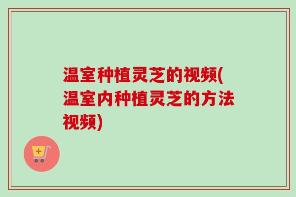 温室种植灵芝的视频(温室内种植灵芝的方法视频)