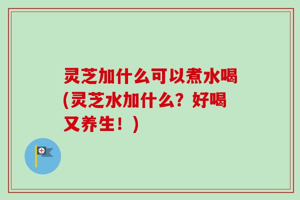 灵芝加什么可以煮水喝(灵芝水加什么？好喝又养生！)