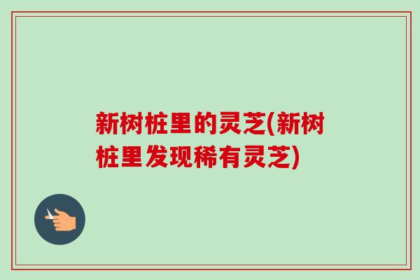 新树桩里的灵芝(新树桩里发现稀有灵芝)