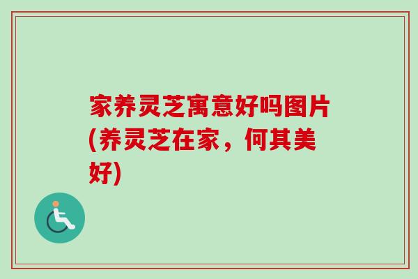 家养灵芝寓意好吗图片(养灵芝在家，何其美好)