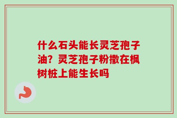 什么石头能长灵芝孢子油？灵芝孢子粉撒在枫树桩上能生长吗