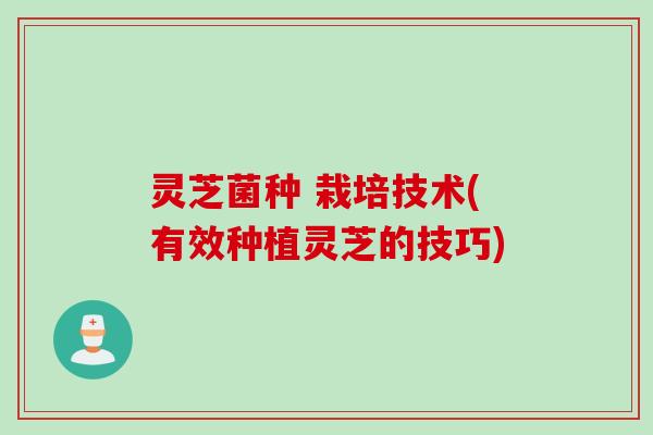 灵芝菌种 栽培技术(有效种植灵芝的技巧)