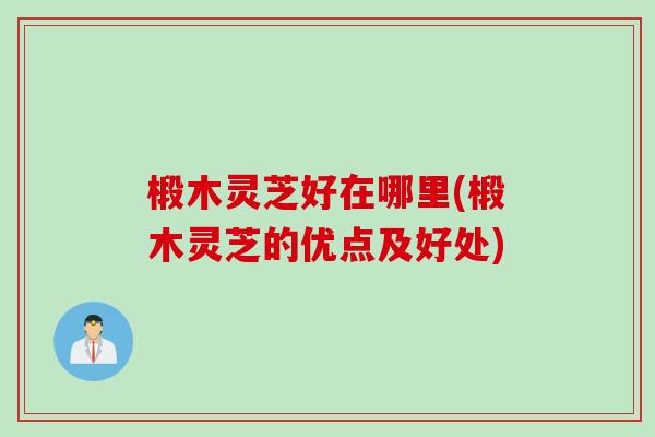 椴木灵芝好在哪里(椴木灵芝的优点及好处)