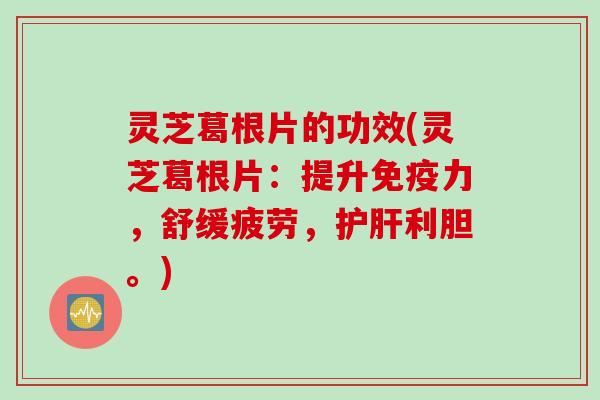 灵芝葛根片的功效(灵芝葛根片：提升免疫力，舒缓疲劳，护肝利胆。)