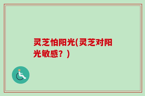 灵芝怕阳光(灵芝对阳光敏感？)