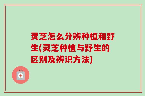 灵芝怎么分辨种植和野生(灵芝种植与野生的区别及辨识方法)