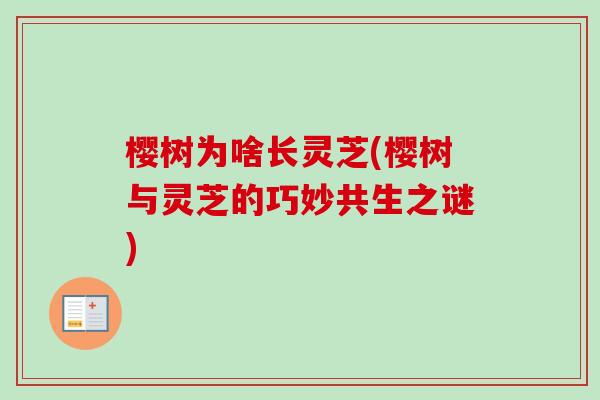 樱树为啥长灵芝(樱树与灵芝的巧妙共生之谜)