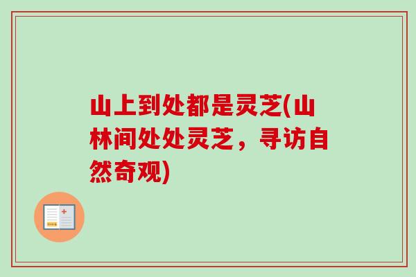 山上到处都是灵芝(山林间处处灵芝，寻访自然奇观)