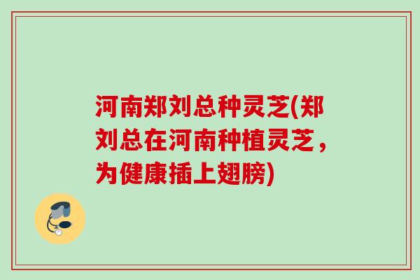 河南郑刘总种灵芝(郑刘总在河南种植灵芝，为健康插上翅膀)