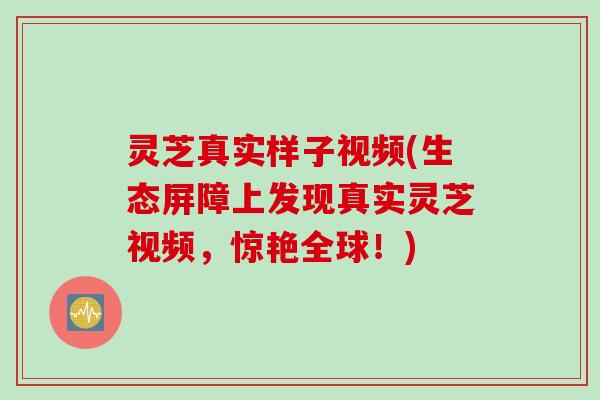灵芝真实样子视频(生态屏障上发现真实灵芝视频，惊艳全球！)