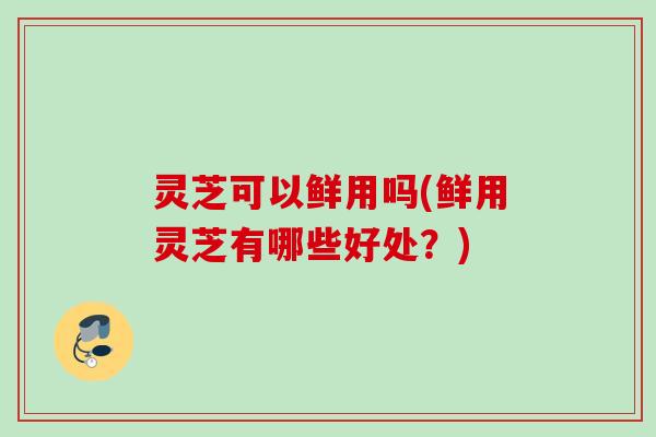 灵芝可以鲜用吗(鲜用灵芝有哪些好处？)