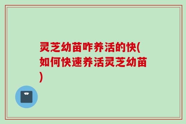 灵芝幼苗咋养活的快(如何快速养活灵芝幼苗)