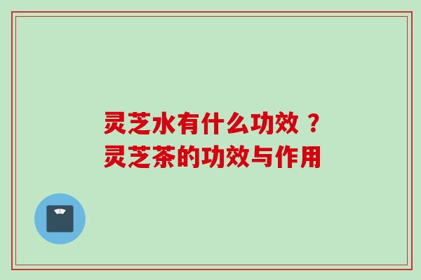 灵芝水有什么功效 ？灵芝茶的功效与作用