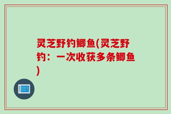 灵芝野钓鲫鱼(灵芝野钓：一次收获多条鲫鱼)