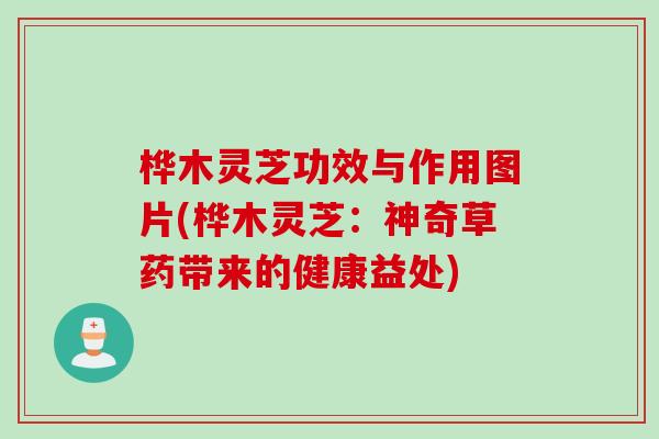 桦木灵芝功效与作用图片(桦木灵芝：神奇草药带来的健康益处)