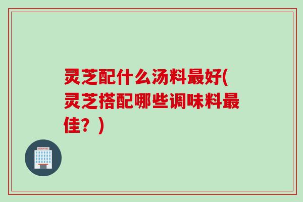 灵芝配什么汤料最好(灵芝搭配哪些调味料最佳？)