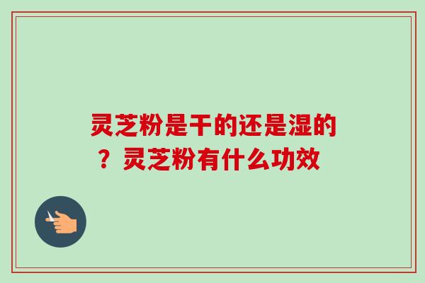 灵芝粉是干的还是湿的 ?灵芝粉有什么功效 灵芝粉是干的还是湿的 ?灵芝粉有什么功效