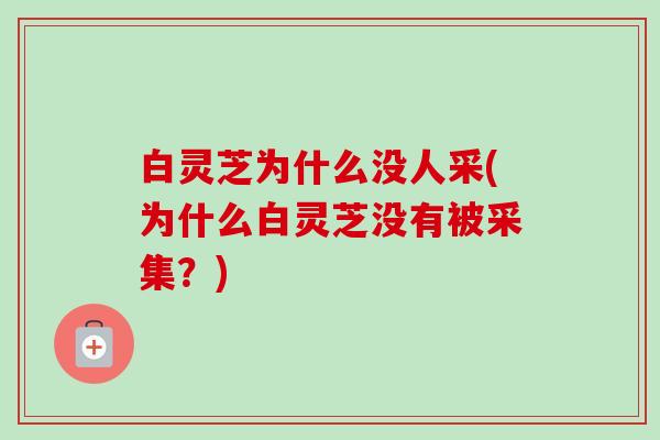 白灵芝为什么没人采(为什么白灵芝没有被采集？)