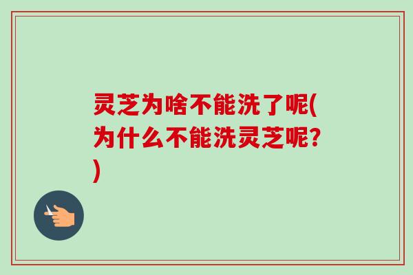 灵芝为啥不能洗了呢(为什么不能洗灵芝呢?) 灵芝为啥不能洗了呢(为什么不能洗灵芝呢?)