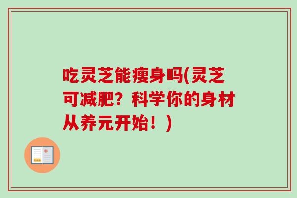 吃灵芝能瘦身吗(灵芝可?科学你的身材从养元开始!) 吃灵芝能瘦身吗(灵芝可?科学你的身材从养元开始!)
