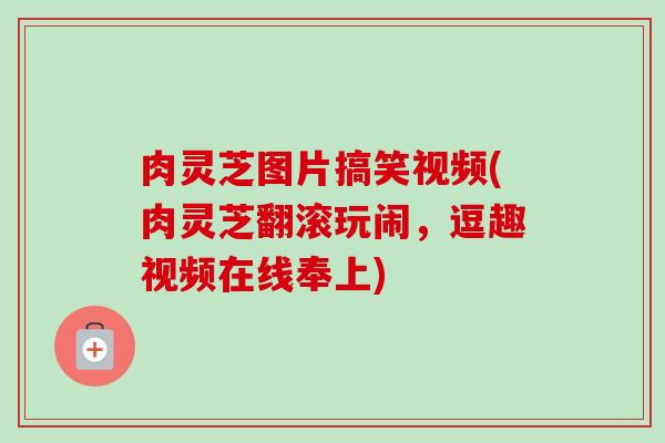 肉灵芝图片搞笑视频(肉灵芝翻滚玩闹，逗趣视频在线奉上)