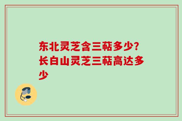 东北灵芝含三萜多少？长白山灵芝三萜高达多少