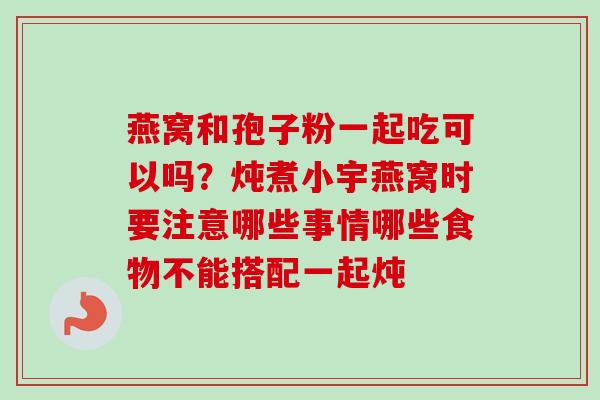 燕窝和孢子粉一起吃可以吗？炖煮小宇燕窝时要注意哪些事情哪些食物不能搭配一起炖