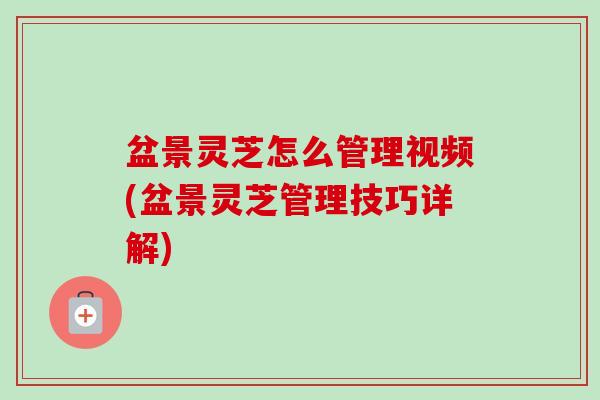 盆景灵芝怎么管理视频(盆景灵芝管理技巧详解)