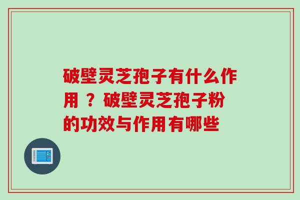 破壁灵芝孢子有什么作用 ？破壁灵芝孢子粉的功效与作用有哪些