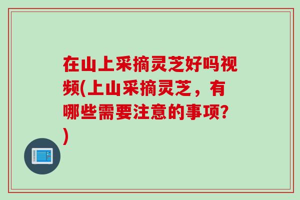 在山上采摘灵芝好吗视频(上山采摘灵芝，有哪些需要注意的事项？)