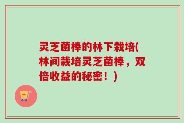 灵芝菌棒的林下栽培(林间栽培灵芝菌棒，双倍收益的秘密！)