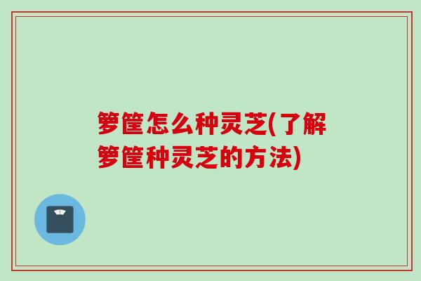 箩筐怎么种灵芝(了解箩筐种灵芝的方法)