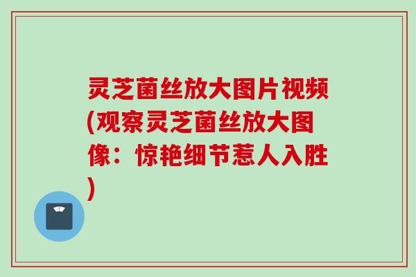 灵芝菌丝放大图片视频(观察灵芝菌丝放大图像:惊艳细节惹人入胜) 灵芝菌丝放大图片视频(观察灵芝菌丝放大图像:惊艳细节惹人入胜)