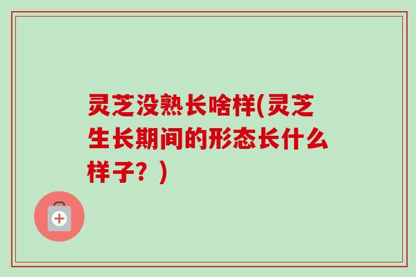 灵芝没熟长啥样(灵芝生长期间的形态长什么样子？)