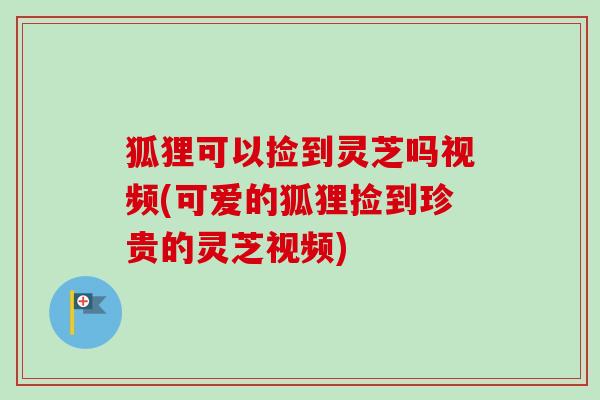 狐狸可以捡到灵芝吗视频(可爱的狐狸捡到珍贵的灵芝视频)