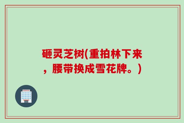 砸灵芝树(重拍林下来，腰带换成雪花牌。)
