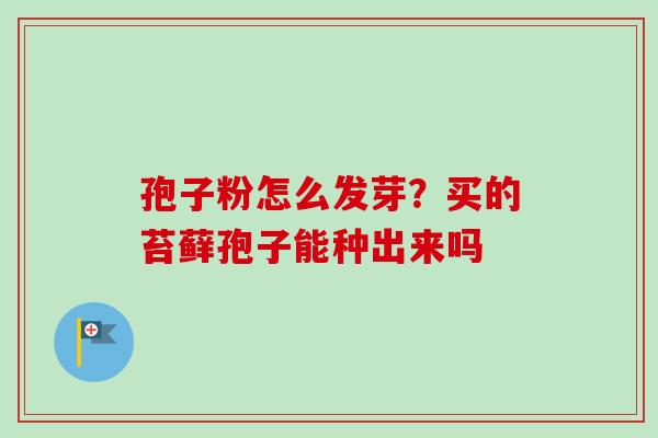 孢子粉怎么发芽？买的苔藓孢子能种出来吗