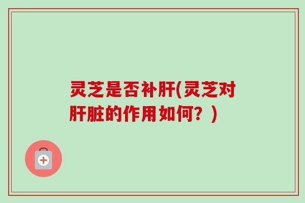 灵芝是否补肝(灵芝对肝脏的作用如何？)