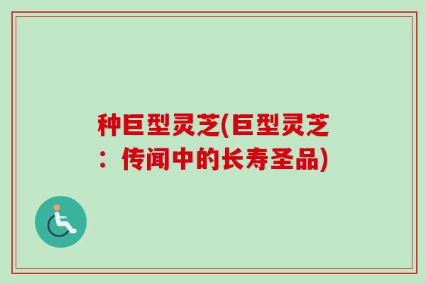 种巨型灵芝(巨型灵芝：传闻中的长寿圣品)