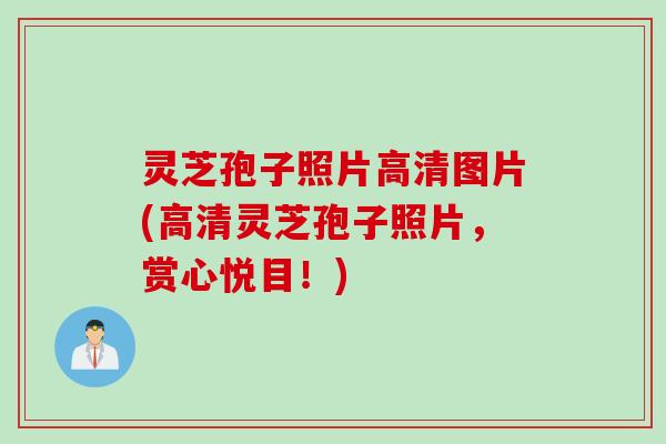 灵芝孢子照片高清图片(高清灵芝孢子照片，赏心悦目！)