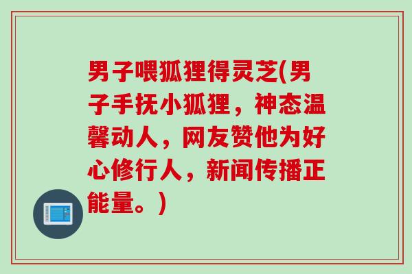男子喂狐狸得灵芝(男子手抚小狐狸，神态温馨动人，网友赞他为好心修行人，新闻传播正能量。)