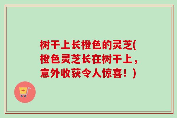 树干上长橙色的灵芝(橙色灵芝长在树干上，意外收获令人惊喜！)