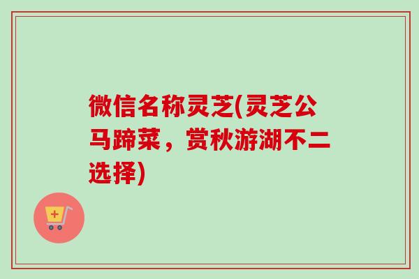 微信名称灵芝(灵芝公马蹄菜，赏秋游湖不二选择)
