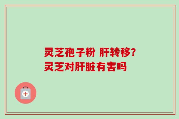 灵芝孢子粉 肝转移？灵芝对肝脏有害吗