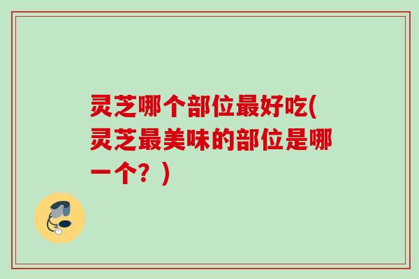 灵芝哪个部位最好吃(灵芝最美味的部位是哪一个？)