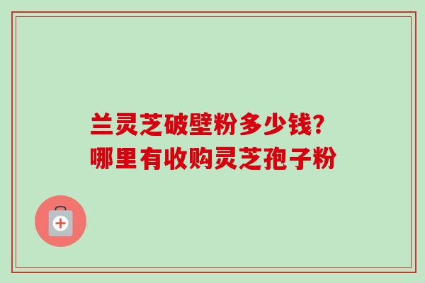 兰灵芝破壁粉多少钱？哪里有收购灵芝孢子粉