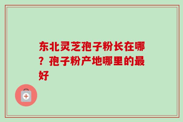 东北灵芝孢子粉长在哪？孢子粉产地哪里的最好